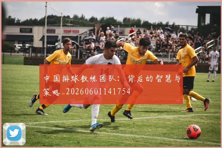 中国排球教练团队：背后的智慧与策略_20260601141754